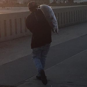 Meet your Posher, Joey michael